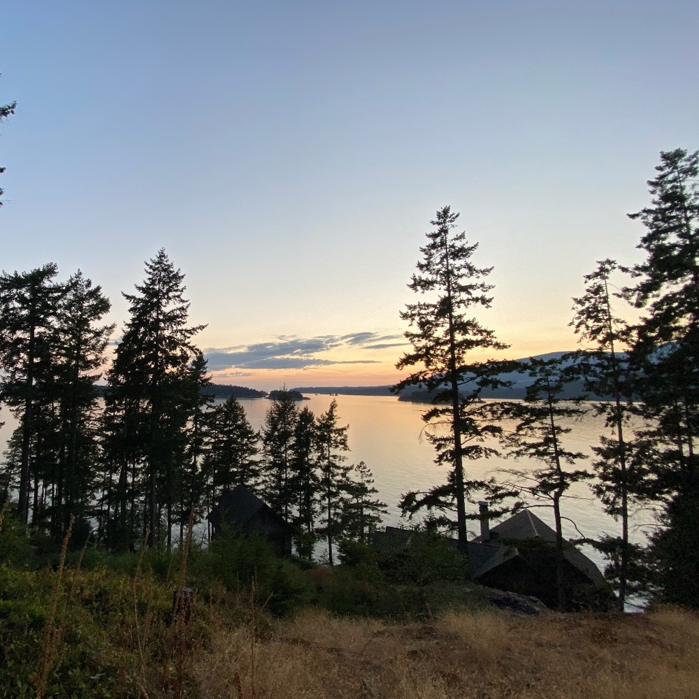 Meet your Posher, Hattie